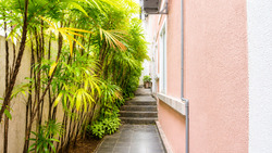 Pinewood Grove (D25), Terrace #589910921